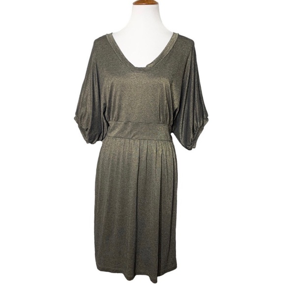 Anthropologie Dresses & Skirts - Anthropologie Metallic Dolman Blouson Dress